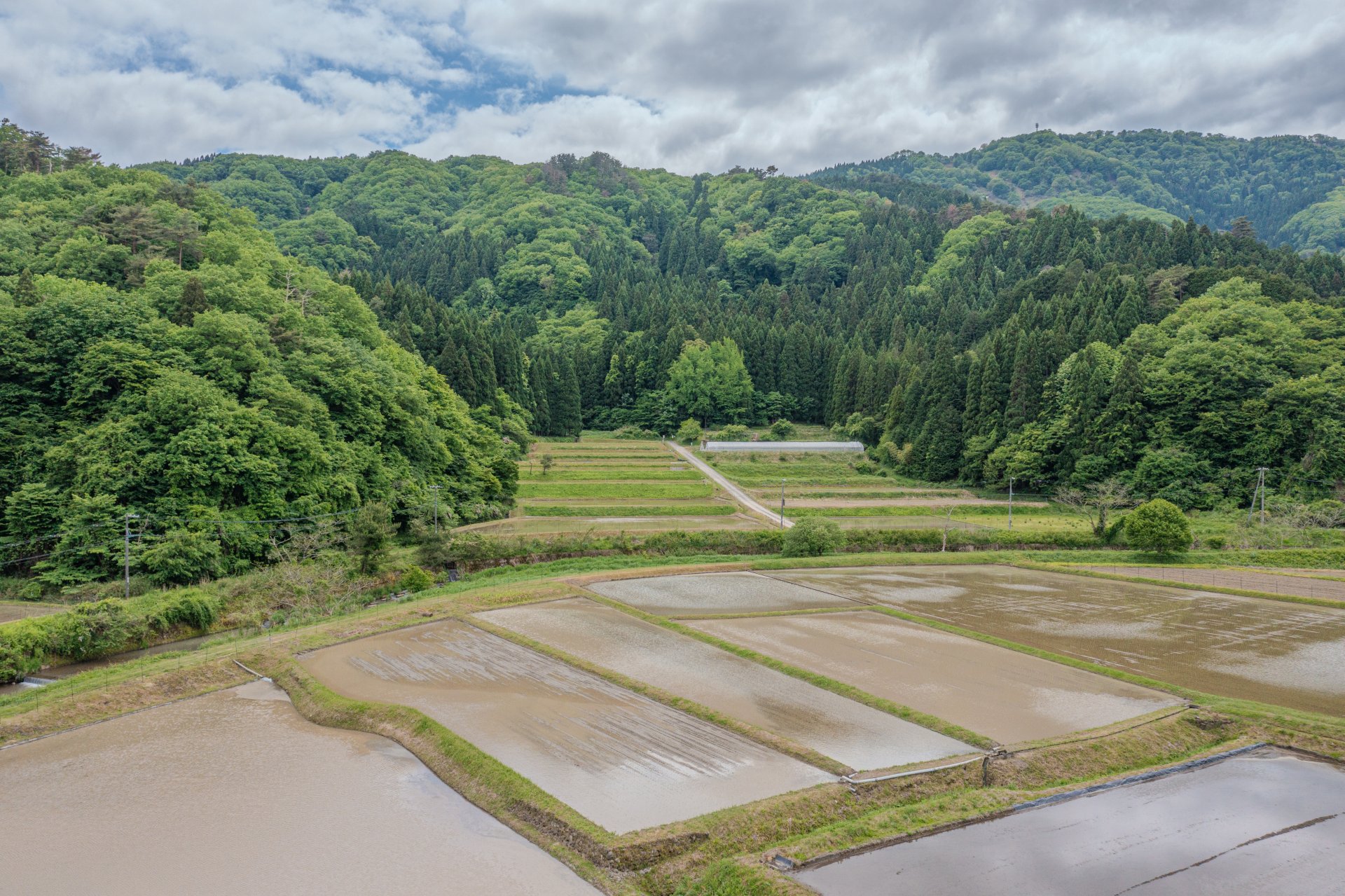 上空から撮影した備前屋のお米が取れる、田植えしたばかりの田圃